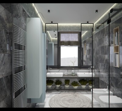 Interior design project for Private House