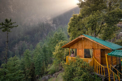 Whispering Pines Cottages |Treehouse | Tandi